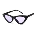 Óculos de Sol Cat Classic Fashion 2022 Feminino Óculos 010 Mega Indico Preto/Roxo 
